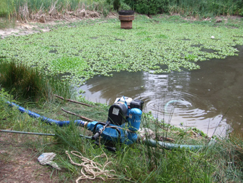 The Harbor Subdivision Detention Pond